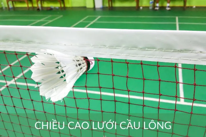 Lưới cầu lông cao bao nhiêu